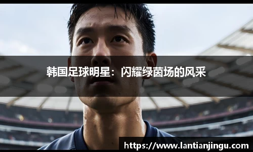 韩国足球明星：闪耀绿茵场的风采
