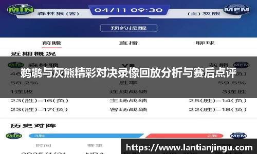 鹈鹕与灰熊精彩对决录像回放分析与赛后点评